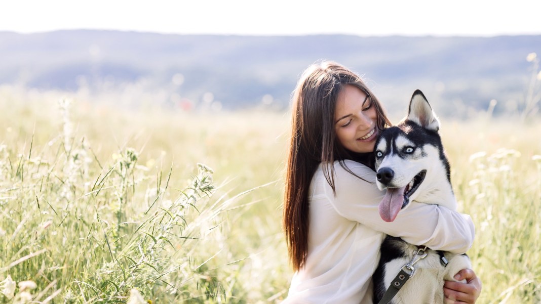 International Dog's Day, 26 August